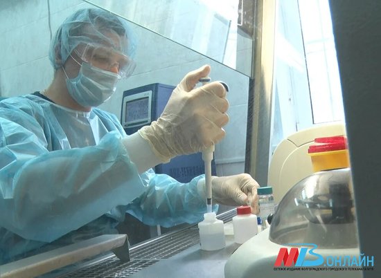 В Волгоградской области от коронавируса вылечили 4402 заболевших
